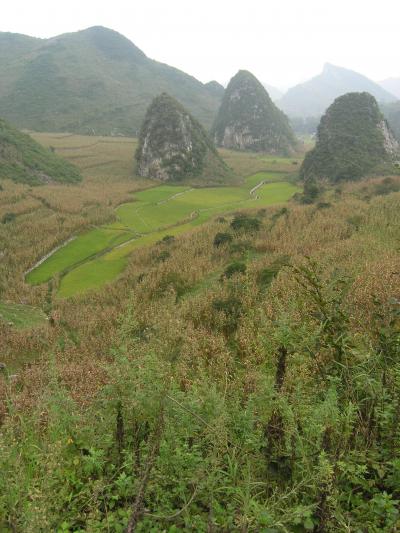 Major Extinction Event Linked to Volcanism (2 of 4)