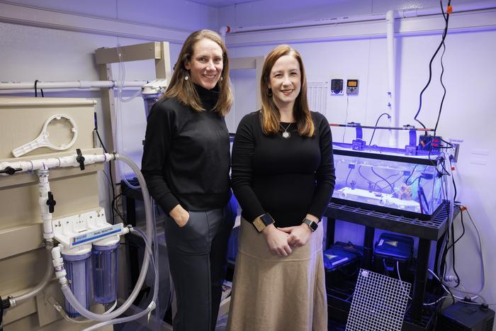 Coral Corral at Indiana University