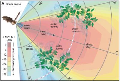 Finding with Frequencies