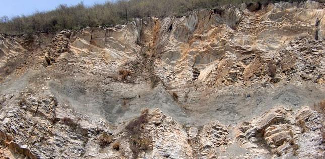 Techniques Used in Forensic Science Help Discover New Molecular Fossils (1 of 2)