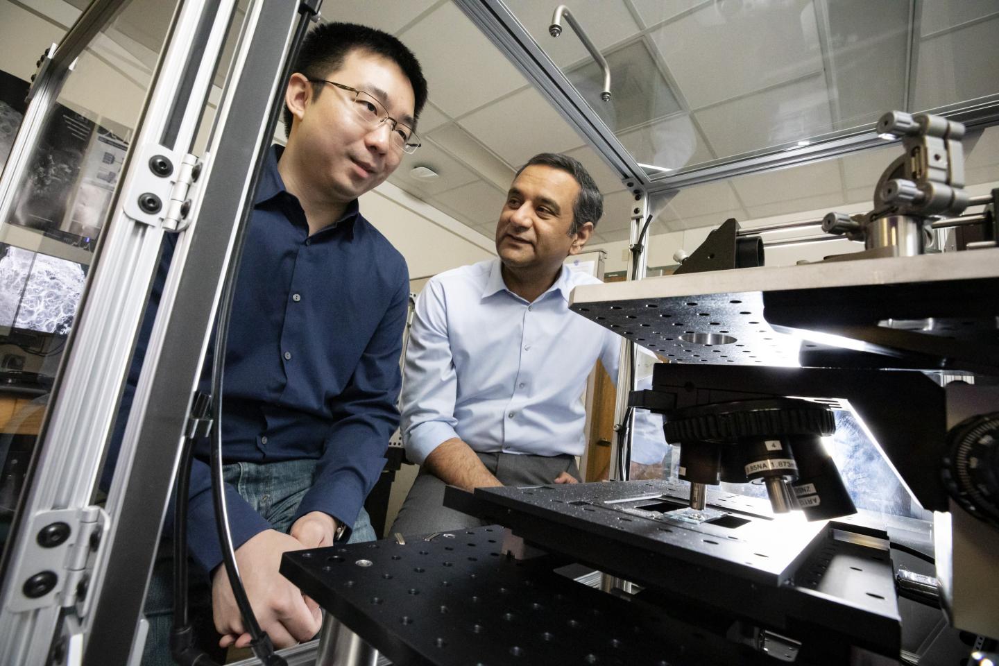 PI and postdoctoral researcher
