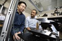PI and postdoctoral researcher