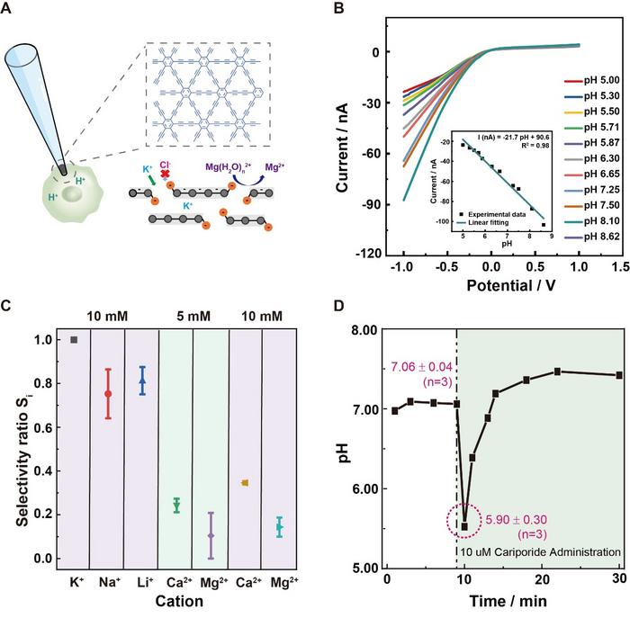 Stacked graphdiyne nano-Iontronic device enables selective pH detection in single cells