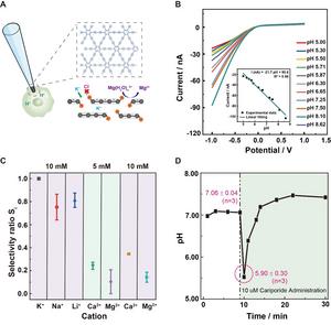 Stacked graphdiyne nano-Iontronic device enables selective pH detection in single cells