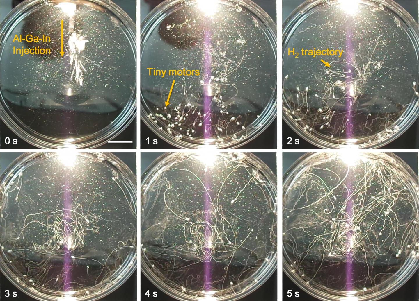 Hydrogen Bubble Tails