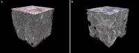 Cubes of Lung Tissue Imaged by microCT
