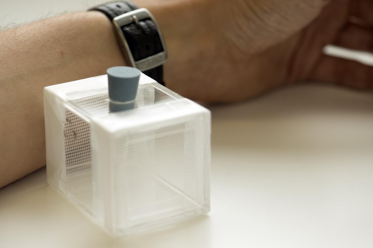 Parasite Strain-Specific Factors Determine Malaria Disease Severity (4 of 8)