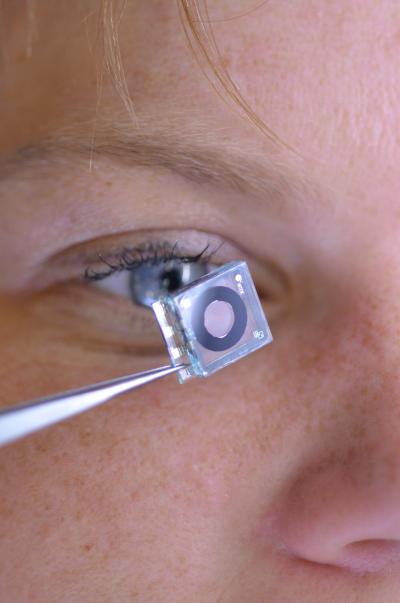 Iris Inspired Imaging System