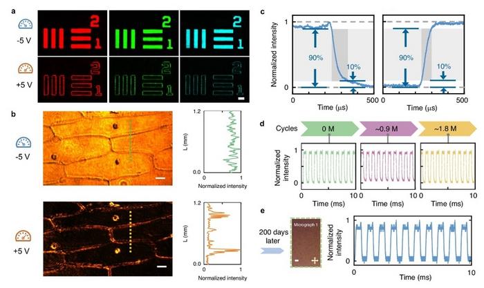 Dynamically Switchable 1st/2nd-Order Optical Spatial Differentiation