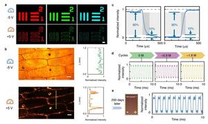 Dynamically Switchable 1st/2nd-Order Optical Spatial Differentiation