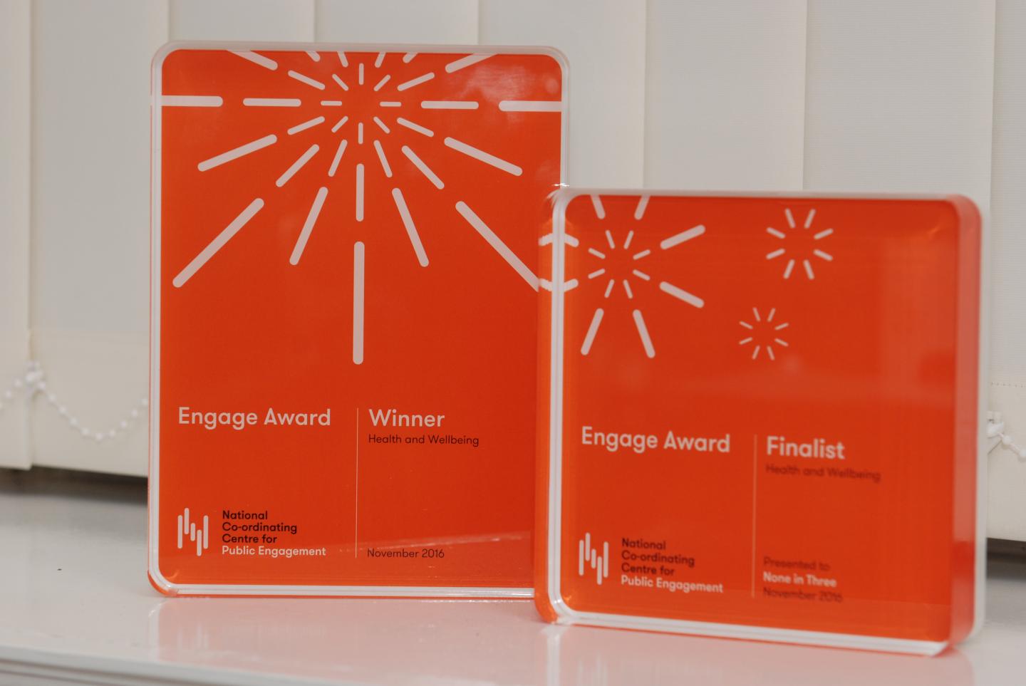 Social Work Professor's Domestic Violence Project Wins Major National Award