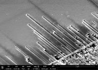 Gold-Catalyzed Process for Creating Patterns of Channels with Nanoscale Dimensions