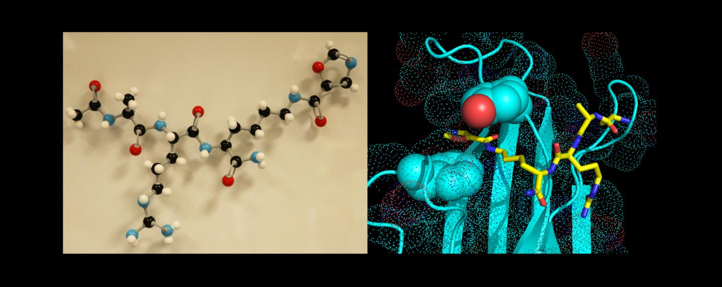 Molecules