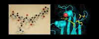 Molecules