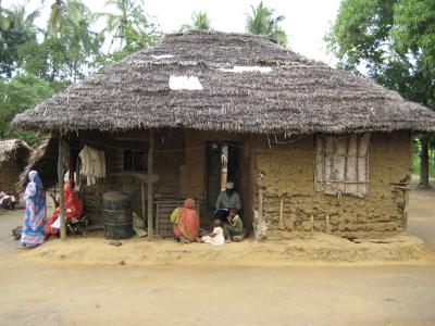 Tanzania, Study on Co-Infection