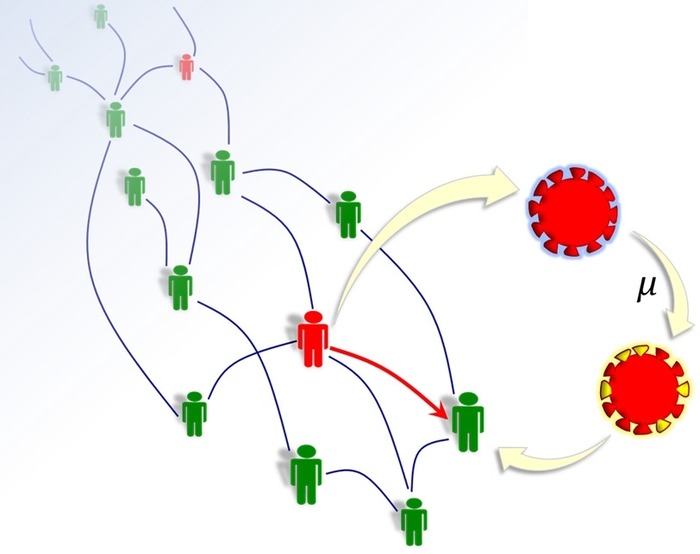 The mutations in SARS-CoV-2
