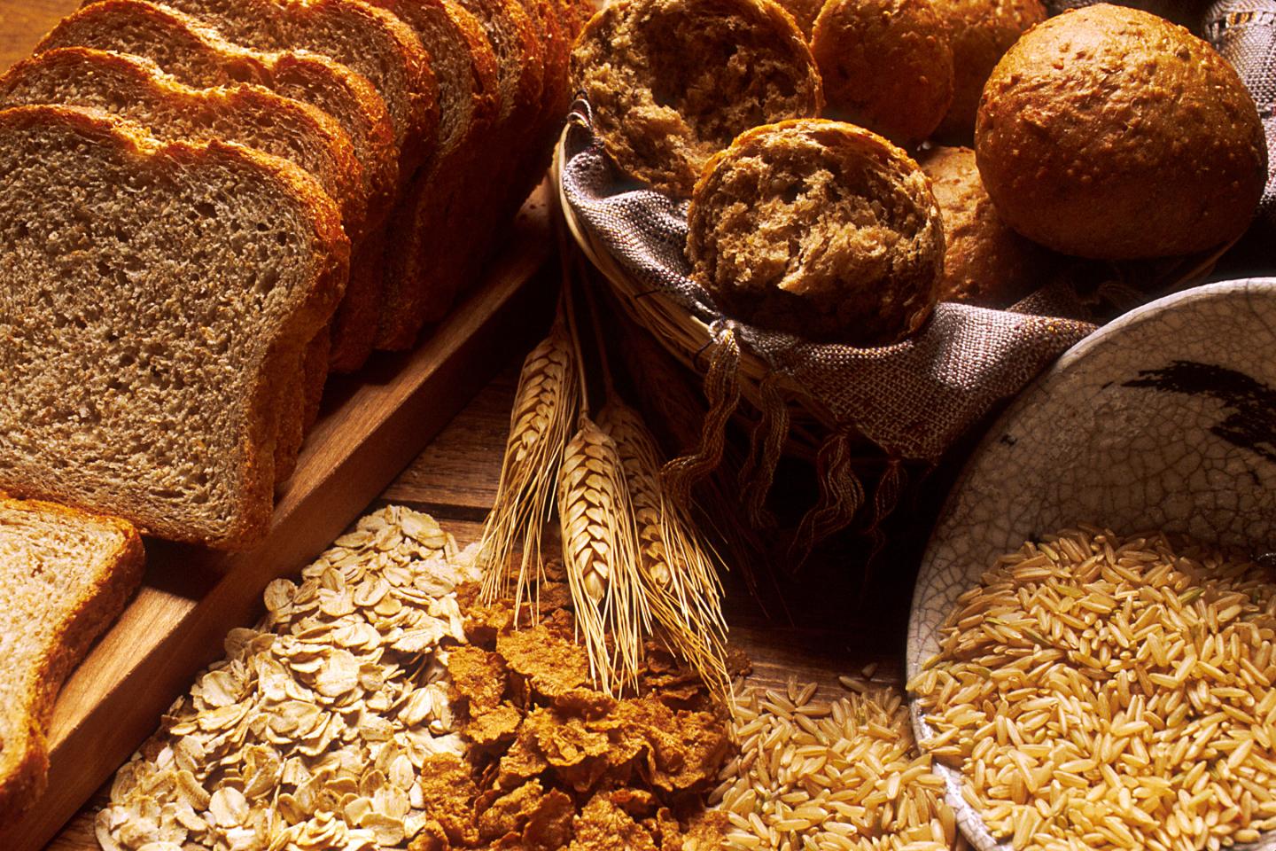 Bread Wheat