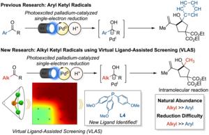 Graphical summary showing the new alkyl ketone radical reactions discovered using predictive computational methods