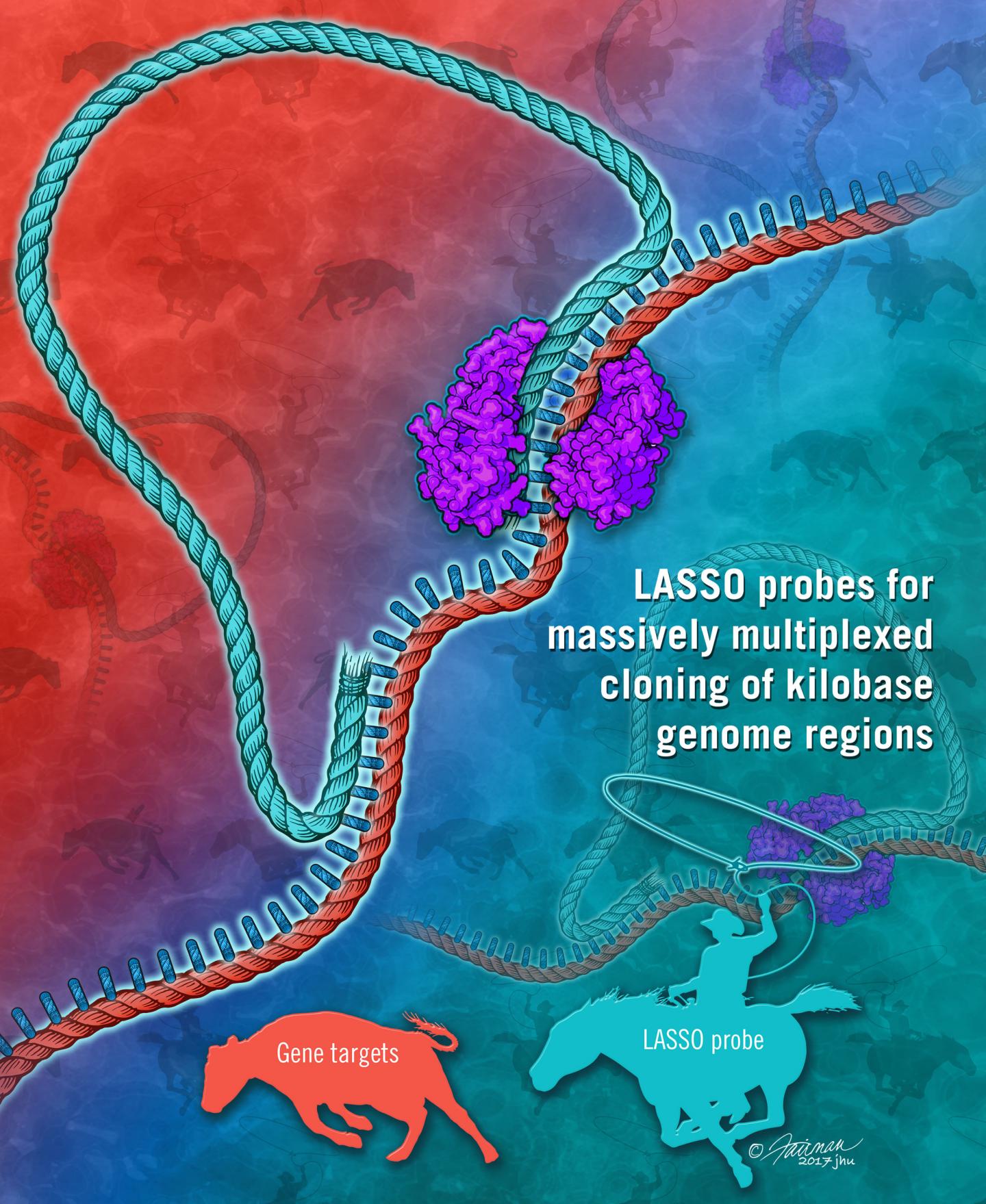 Cloning Genes for Protein Libraries