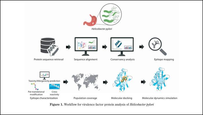 In silico analysis of H. pylori via immunoinformatics