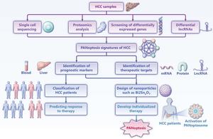 PANoptosis signatures of HCC and the design of PANoptosis inducing drugs for individualized HCC therapy.
