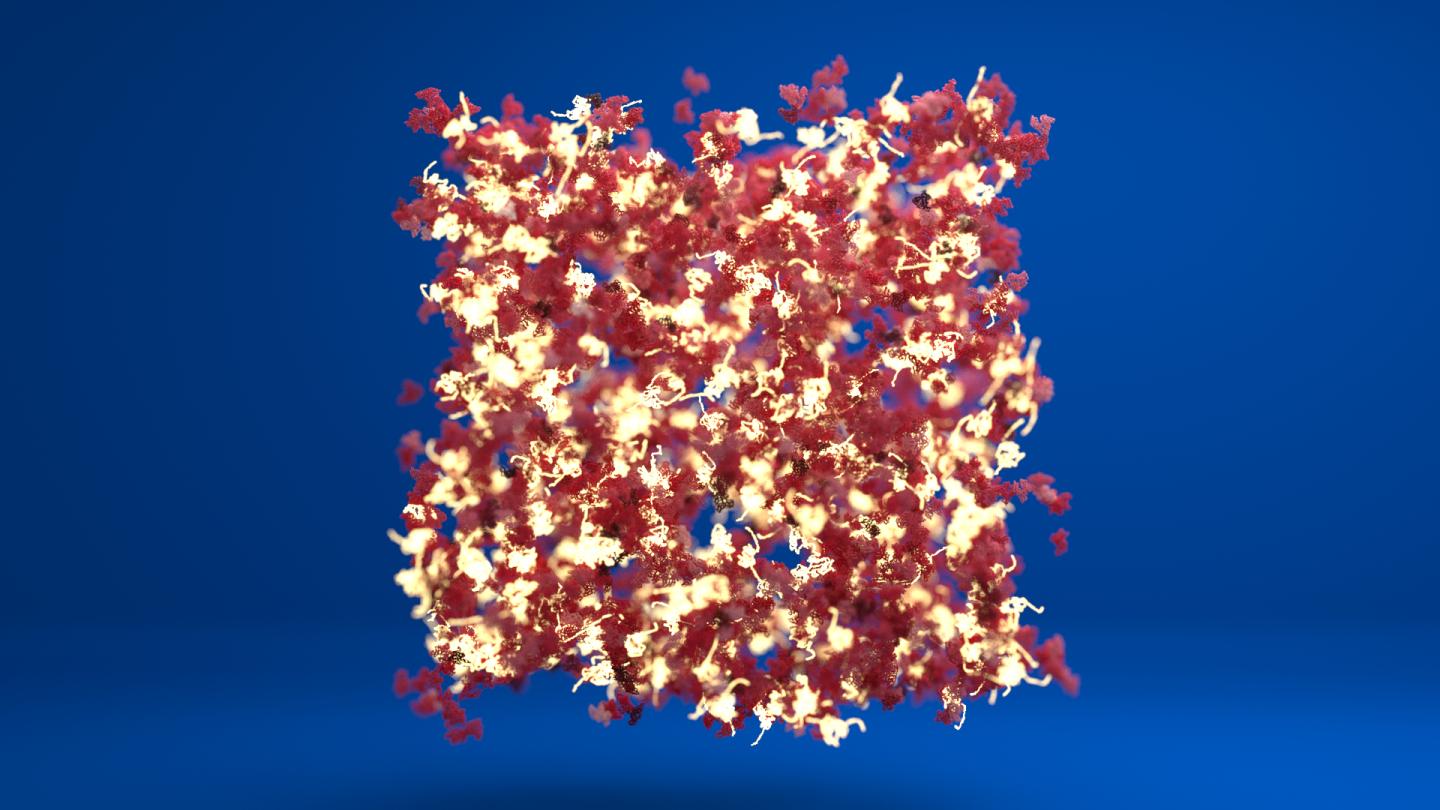 Schematic visualisation of a protein network
