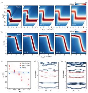 The Mott insulating behavior of Nb3Cl8.