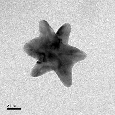 Nanostar