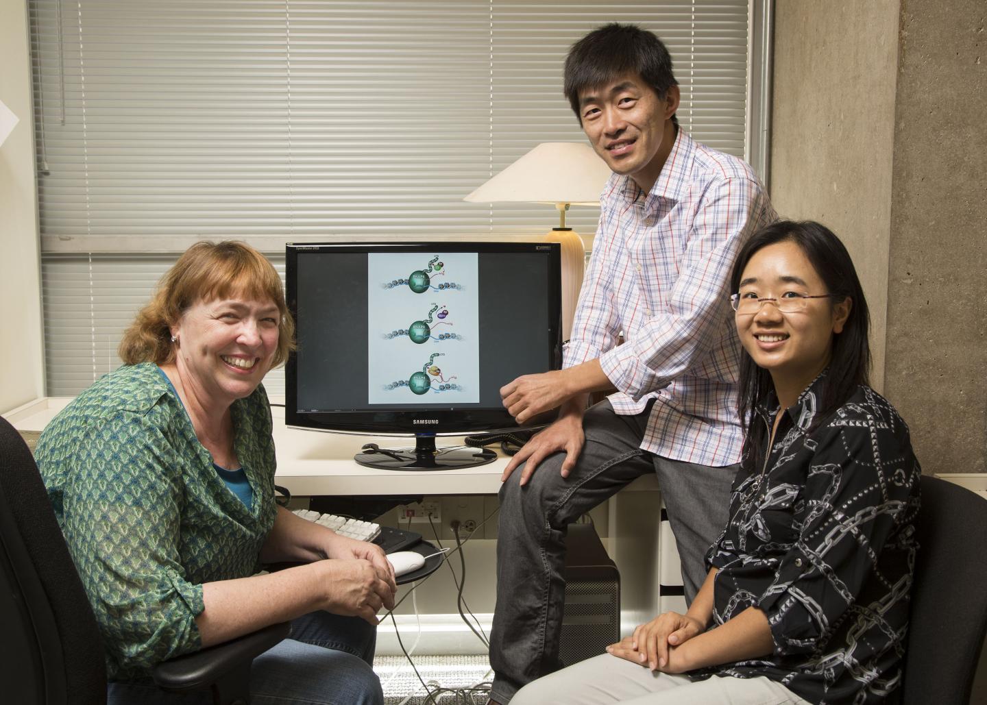Scientists in the Jones Lab, Salk Institute