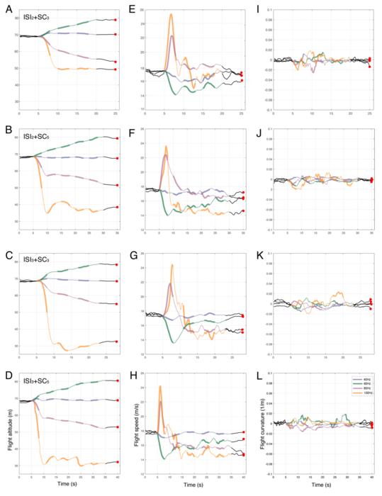 Fig. 3. Dynamics of flight characteristics of robo-pigeons under different stimulation