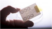 Tattoo Electrodes