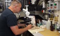 Assessing Harmful Algal Blooms