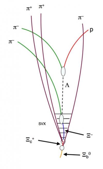 Neutral Xi-sub-b Decay Chain
