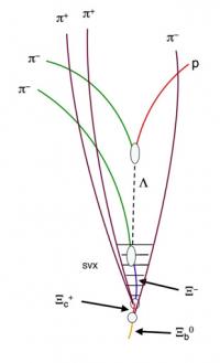 Neutral Xi-sub-b Decay Chain