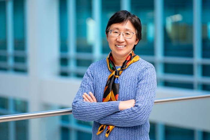 Research reveals unexpected roles of TEAD proteins in neurodevelopment