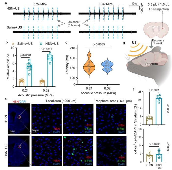 HSN-enabled precise ultrasound neural activation in targeted brain regions.