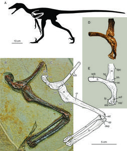 Figure from paper