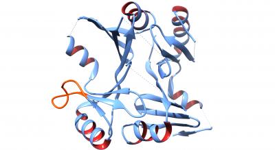 FosB from <i>Staphylococcus aureus</i>