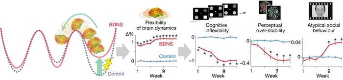 Neural stimulation