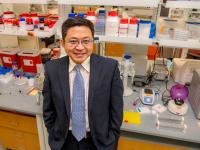Tony Hu, PhD