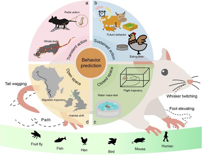 Deep learning‐based biological behavior prediction.