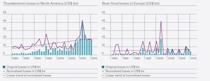 Annual Losses