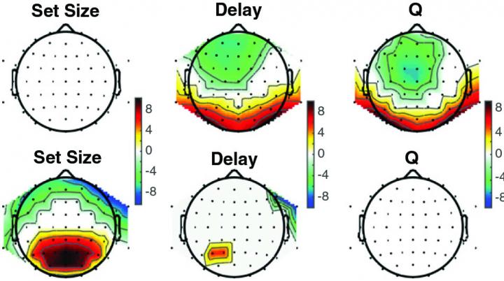 How we Learn [IMAGE] | EurekAlert! Science News Releases