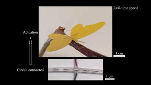 Researchers take soft robotics to new heights with pioneering tiny pump able to power and control a robot butterfly