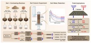 Contrasting effects of rice husk and palm silk biochars on water infiltration and leakage in a phosphorus-enriched sandy-loam vegetable soil