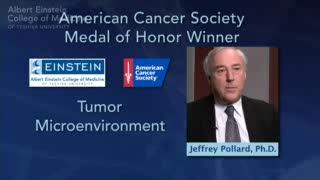Interview with Dr. Jeffrey Pollard