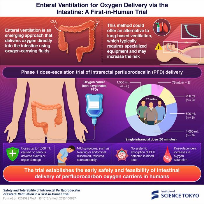 Enteral Ventilation for Oxygen Delivery via the Intestine: A First-in-Human Trial
