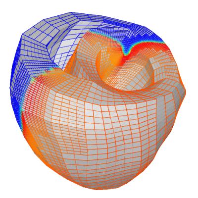 Model of Dog Heart Ventricle