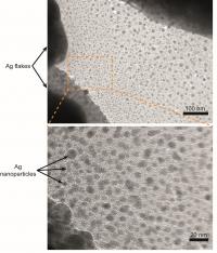 Transmission Electron Microscope Images of Self-Formed Ag Nanoparticles