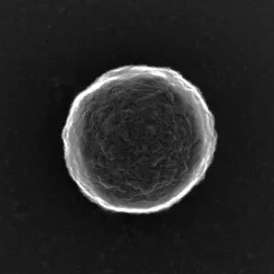 Bubble Bots: Simple Biocompatible Microrobots Autonomously Target Tumors